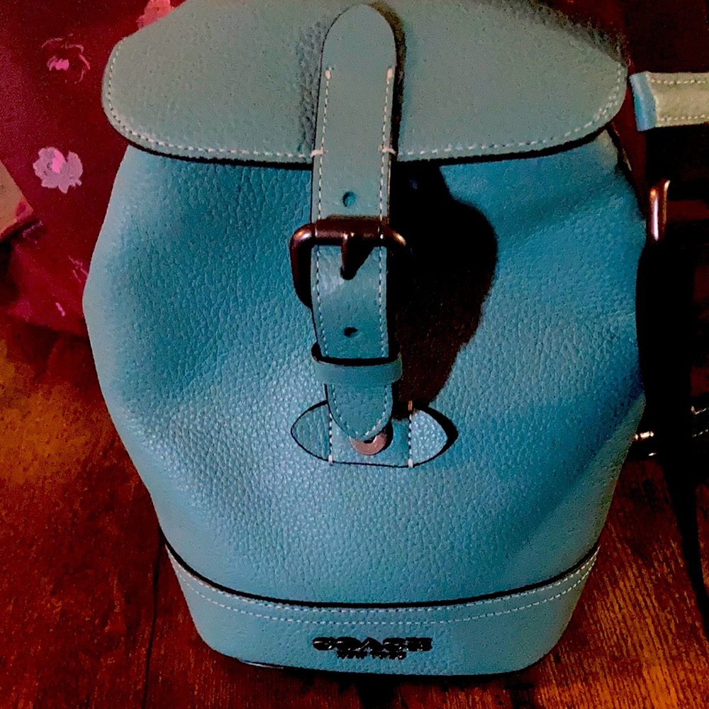 Coach bag with utility strap